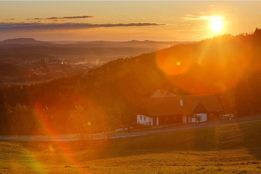 Hotel Schilcherlandhof Штайнц Екстер'єр фото